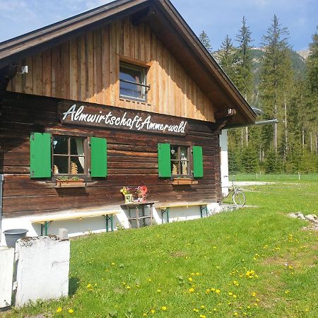 Ammerwald Alm Plansee Bagian luar foto