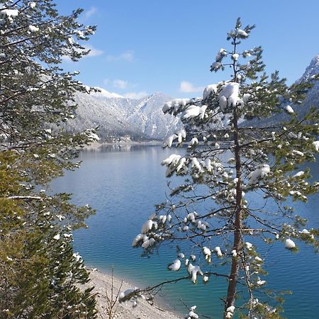 Ammerwald Alm Plansee Bagian luar foto