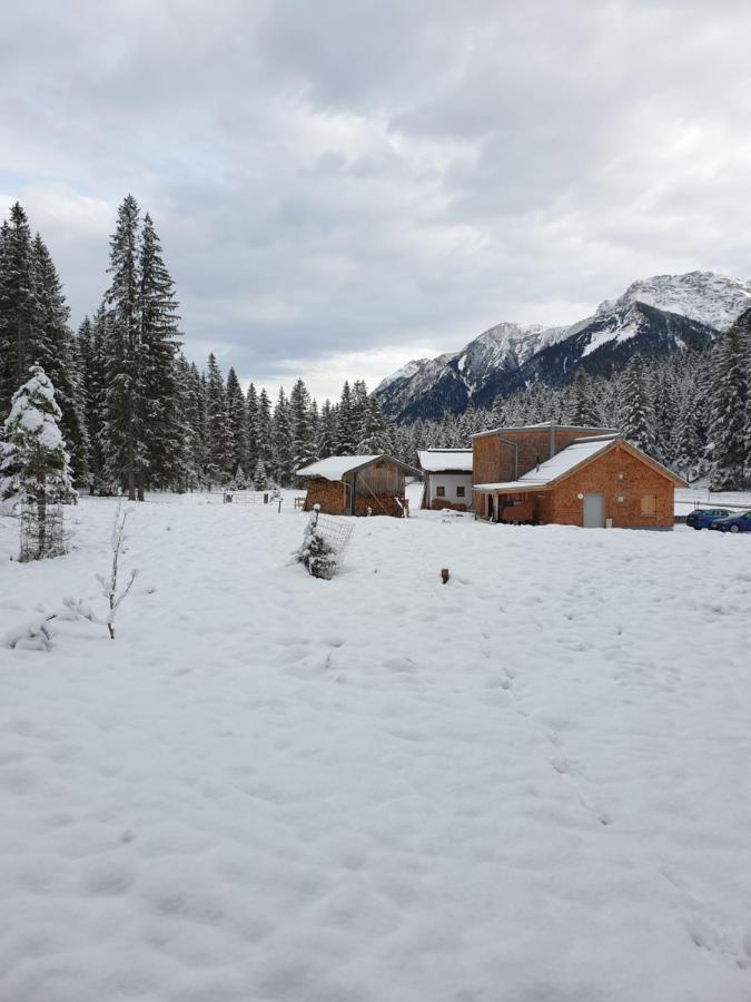 Ammerwald Alm Plansee Bagian luar foto