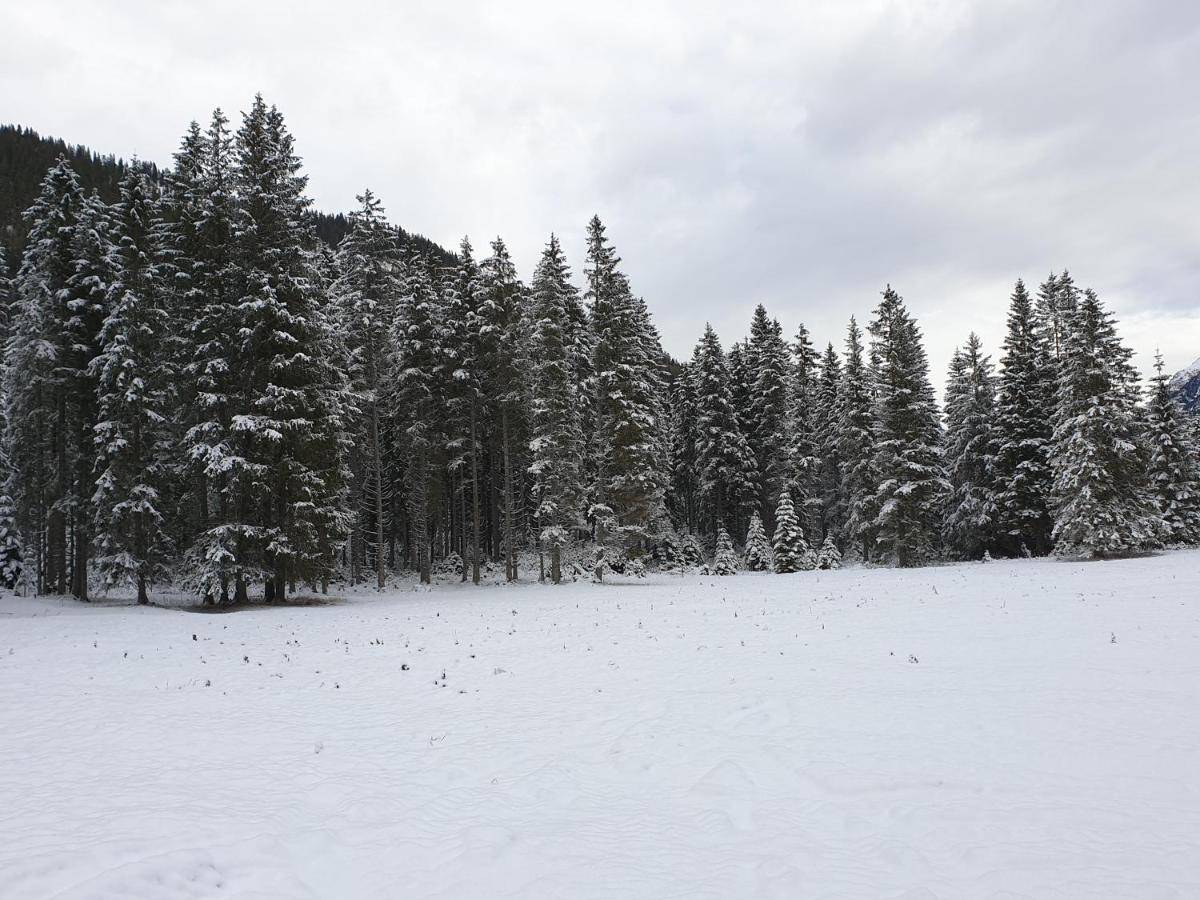 Ammerwald Alm Plansee Bagian luar foto